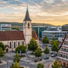 Reinigungsfirma in ditzingen